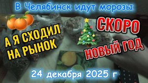 В Челябинск идут морозы, а я сходил на рынок 24 декабря 2025 г