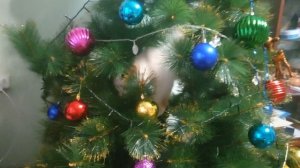 25-12-2025 кошка на ёлке.