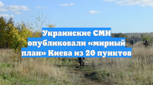 Украинские СМИ опубликовали «мирный план» Киева из 20 пунктов