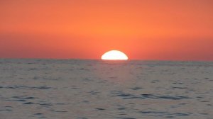 ВИДЕО  ПВН  ББ   (1627)