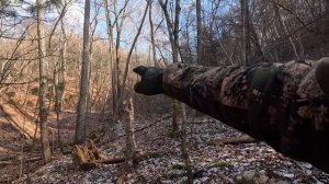 Охота на Медведя.\\ Добываю Медведя с подхода.