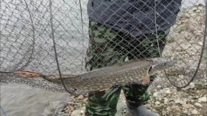 Рыбалка в Крыму,  декабрь 2025, Симферопольское водохранилище