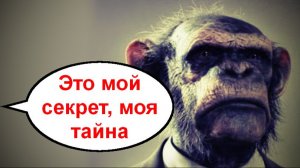 Это моя тайна! _ Мошенники звонят по телефону