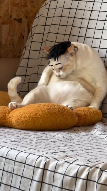 На утро после сабантуя