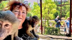 Мы пошли с Анфисой проведать Степу, Маню и Тосю, встреча была горячей)