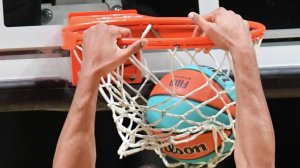 Понятие "командный вид спорта" будет закреплено в законодательстве