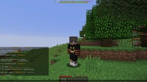 "маинкрафт выжа"