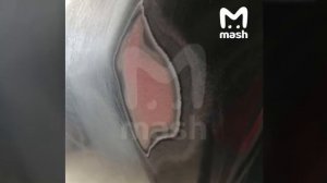 НОВЫЕ ПРАВА И СТС 2026_ новый РАЗВОД ДПС, 55 000 000₽ за ржавчину, новые ловушки и знаки ПДД.