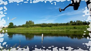 Поймал - отпустил