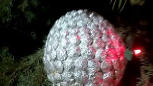 ГЛАВНАЯ ПЛОЩАДЬ Г. ПУГАЧЕВ