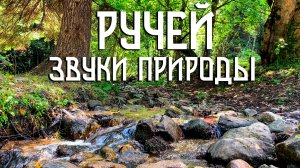 Ручей и пение птиц / Мелодия воды / Звуки природы
