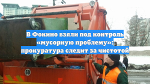 В Фокино взяли под контроль «мусорную проблему»: прокуратура следит за чистотой