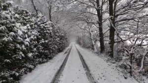 25 декабря - Волшебство слова и сила намерения.