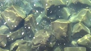 Моя рождественская сказка