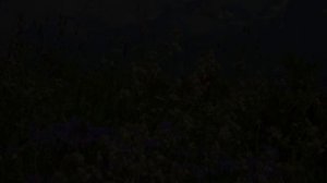 Цветущие горы !