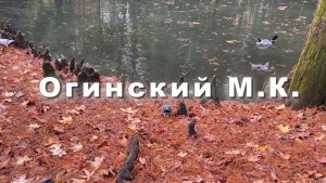 Огинский М.К. Менуэт Ля минор. Музыка для души