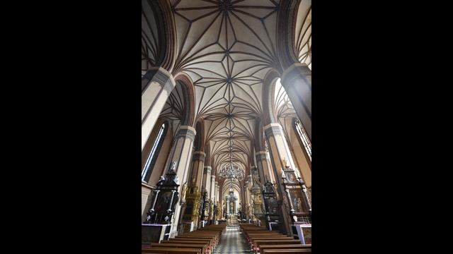 Frombork  16 августа 2018