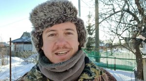 Метель. Мороз -24°С. Дневник натуралиста 2 и 3 января 2024 г.