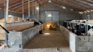 24-12-2025 г. Животновод