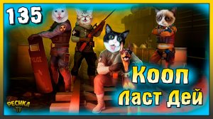 Кооператив и Кланы в Ласт Дей | Новичок Ласт Дей #135 | Last Day on Earth: Survival