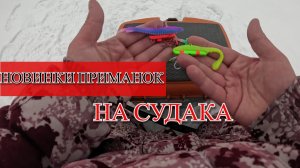 НОВИНКИ ПРИМАНОК НА СУДАКА. ЗИМА 25-26гг. ЗИМНИЙ СИЛИКОН.