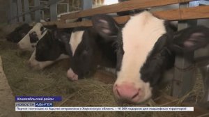 Информационный выпуск Майкопского телевидения 23.12.2025г.