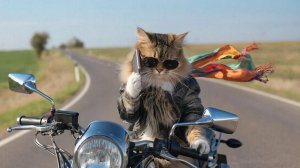 ИИ АНИМАЦИЯ