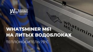 🌡WHATSMINER M61 НА ЛИТЫХ ВОДОБЛОКАХ — ТЕМПЕРАТУРА ТЕПЛОНОСИТЕЛЯ 75°С