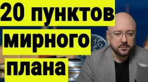 Ненастоящий мирный план Зеленского. Зачем это надо. Разбираем 20 пунктов опубликованного плана.