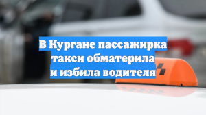 В Кургане пассажирка такси обматерила и избила водителя