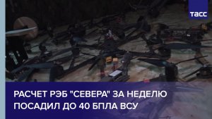 Расчет РЭБ "Севера" за неделю посадил до 40 БПЛА ВСУ