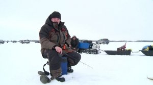 Залезли в нереальную толпу, чтобы ловить судака.