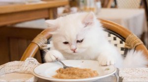 ИИ АНИМАЦИЯ