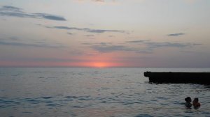 ВИДЕО  ПВН  ББ   (1629)