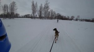 Сриджоринг