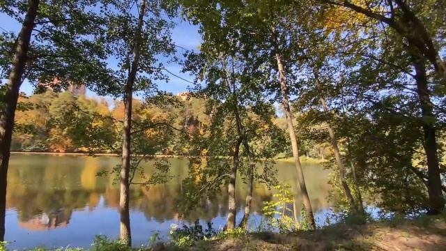 Видео от Администрация города Саров смотреть онлайн