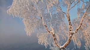 Слайд-песня - Зима- мои стихи с ИИ