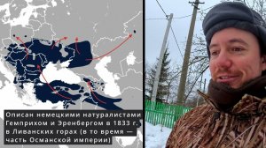 Заморский Дятел. Дневник натуралиста. 29.12.2023