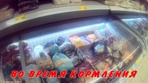 ПРИСУТСТВИЕ