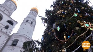 Главная елка страны: и вот она - нарядная! Доброе утро. Фрагмент выпуска от 24.12.2025