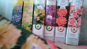 КАК МОЖНО УДЕРЖАТЬСЯ И НЕ КУПИТЬ ЭТО_  Я НЕ ЗНАЮ. (1)