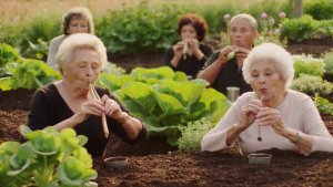 Что-то пошло не так...