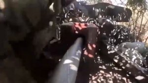 РАЗВЕДКА РОССИИ СООБЩАЕТ. БЕГСТВО. НОВЫЕ ПОДРОБНОС