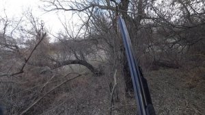 Охота, увидел фазана без собаки