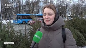 Ёлки, сосны и лапник: в Брянске заработали предновогодние базары