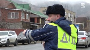 В КЧР стартовали рейды по выявлению незаконной вырубки хвойных деревьев