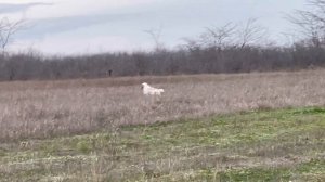 Федора. 24.12.25