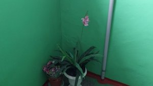 Мои рабочие моменты ●●●