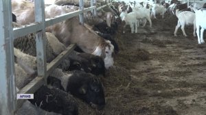 Встреча министерства сельского хозяйства и продовольствия области с фермерами состоялась в округе.