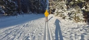 Лыжная трасса в лесной сказке